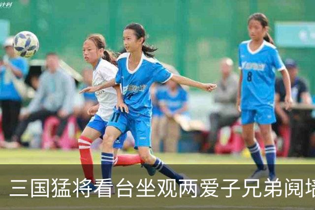 三国猛将看台坐观两爱子兄弟阋墙 弟弟更比哥哥强？