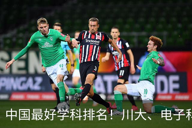 中国最好学科排名！川大、电子科大等上榜