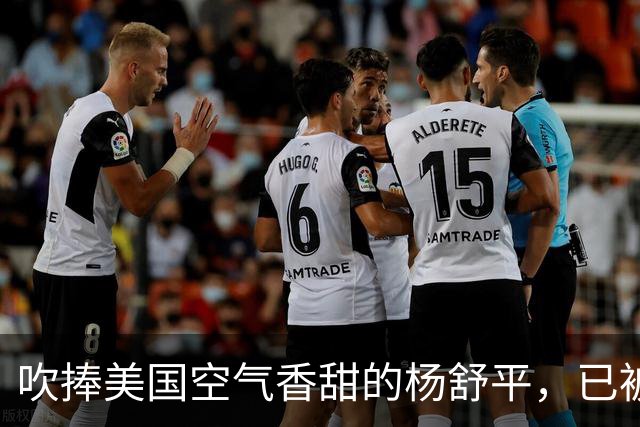 吹捧美国空气香甜的杨舒平，已被美国驱逐出境，回国后处境悲凉