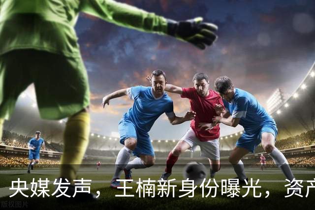 央媒发声，王楠新身份曝光，资产查封被带走调查传闻背后另有隐情
