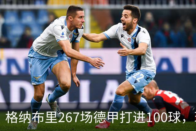 格纳布里267场德甲打进100球，现役德甲球员中第三位百球先生