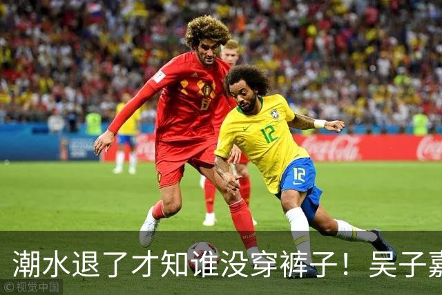 潮水退了才知谁没穿裤子！吴子嘉狠酸：沈伯洋就是一个小丑