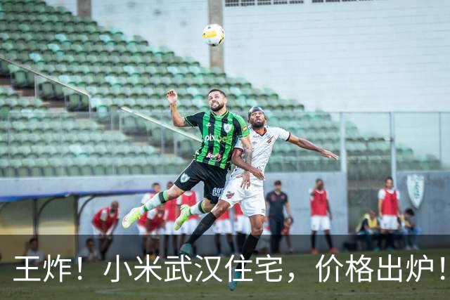 王炸！小米武汉住宅，价格出炉！