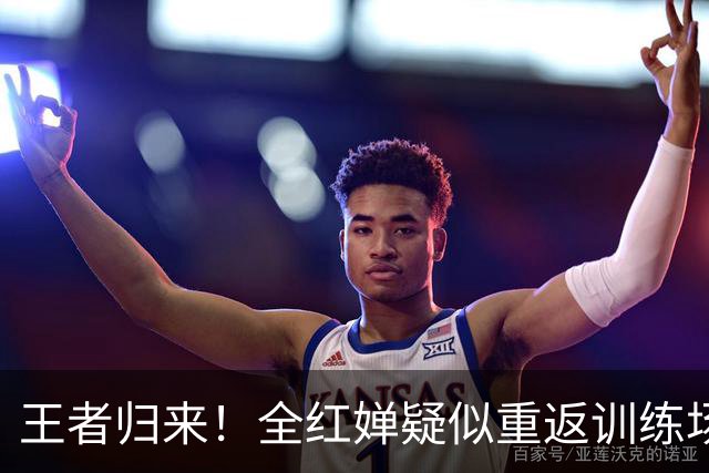 王者归来！全红婵疑似重返训练场，如今状态竟和伏明霞复出前相似