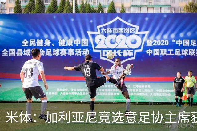 米体：加利亚尼竞选意足协主席获两大协会力挺