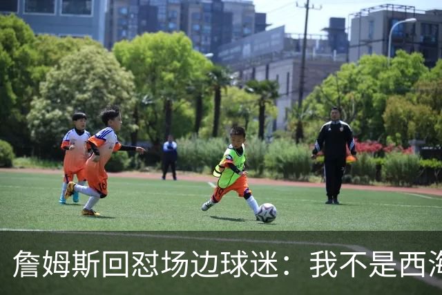 詹姆斯回怼场边球迷：我不是西海岸人，我是俄亥俄人