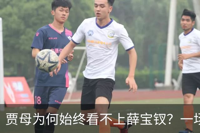 贾母为何始终看不上薛宝钗？一场螃蟹宴，早就把答案摆上了桌